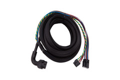 PER-CAT-0500.jpg PER-CAT-0500.jpg